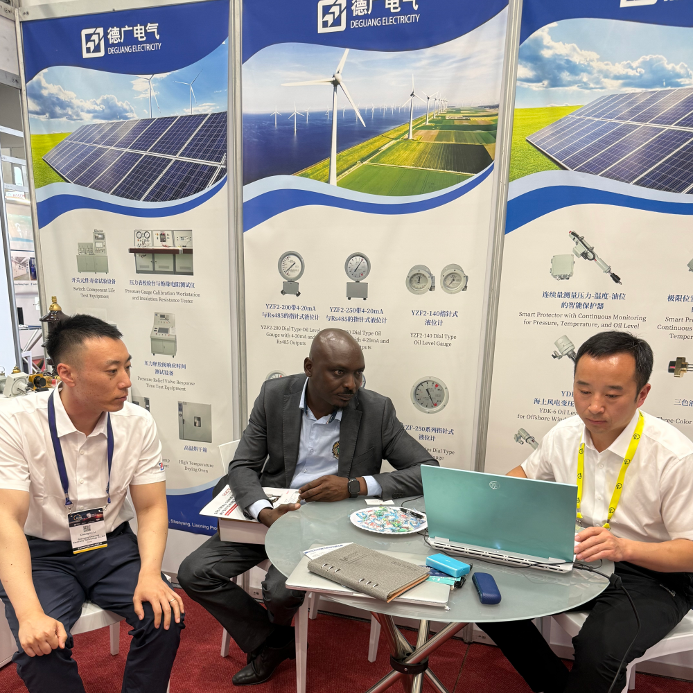 Shenyang Deguang Electric Technology Co., Ltd. Made a Successful Debut at the 2026 Cape Town International Power and Energy Exhibition in South Africa